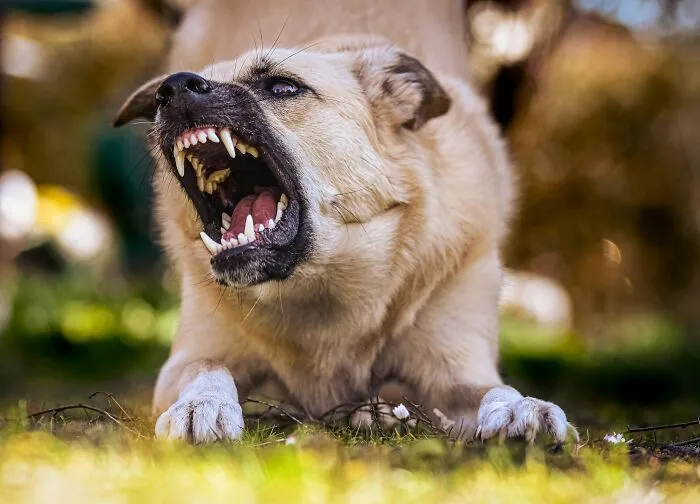 “That Still Haunts Me”: 50 Times People Ignored Their Gut Feeling And Deeply Regretted It