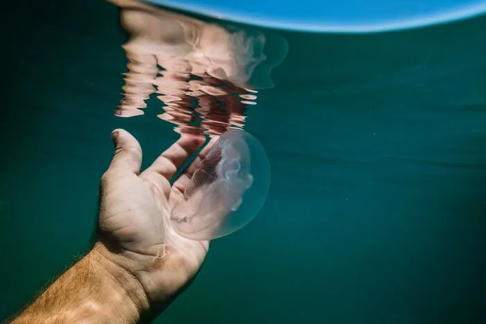 "Run Away As Fast As You Can": 50 Fake Survival Tips That No One Should Follow