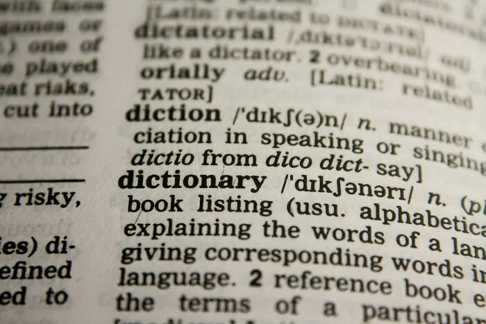 “Are You A Dictionary? Because You Add Meaning To My Life.”