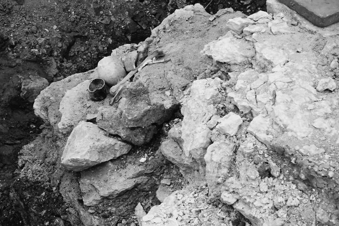Ancient bones and pottery unearthed during an archaeological dig, revealing interesting mysteries that still baffle people.