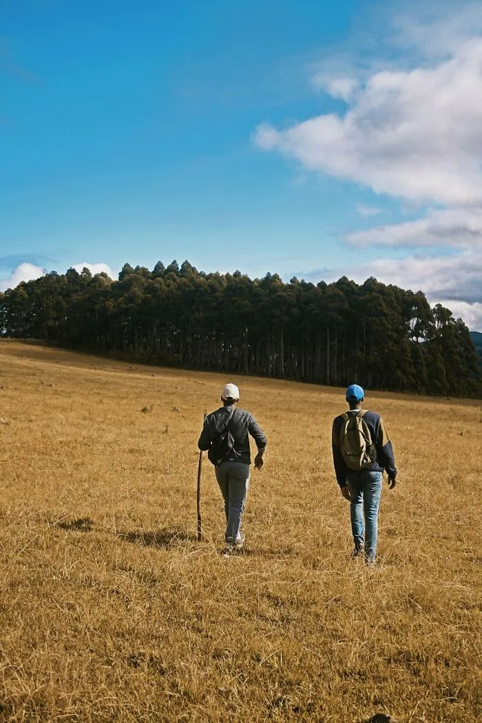 "Run Away As Fast As You Can": 50 Fake Survival Tips That No One Should Follow
