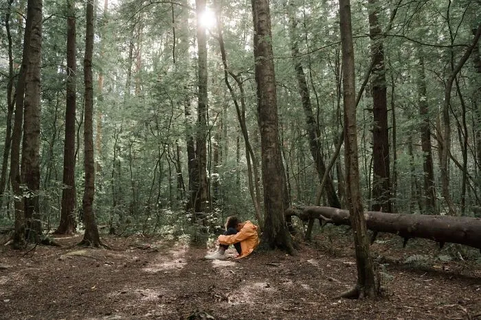 "Run Away As Fast As You Can": 50 Fake Survival Tips That No One Should Follow