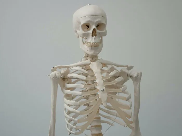 27 Wild Ways Bodies Get Used That May Make You Think Twice About Donating Yours To Science