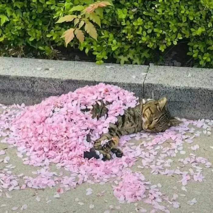 50 Pics That Range From Bizarre To Totally Unhinged, Delivered By "Trash & Culture” (New Pics)