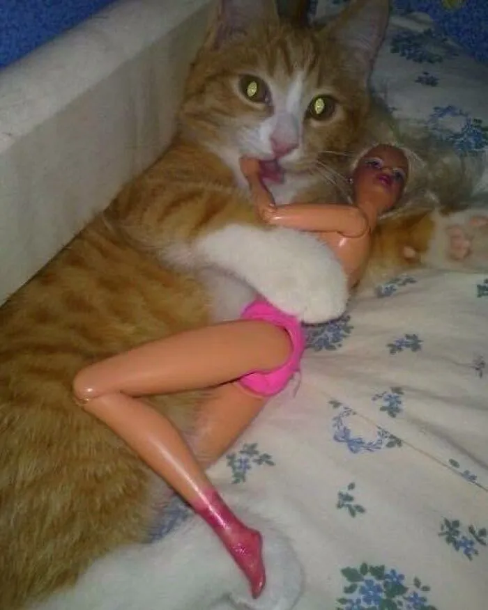 50 Pics That Range From Bizarre To Totally Unhinged, Delivered By "Trash & Culture” (New Pics)