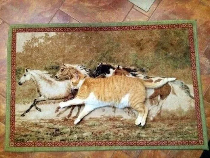 50 Pics That Range From Bizarre To Totally Unhinged, Delivered By "Trash & Culture” (New Pics)