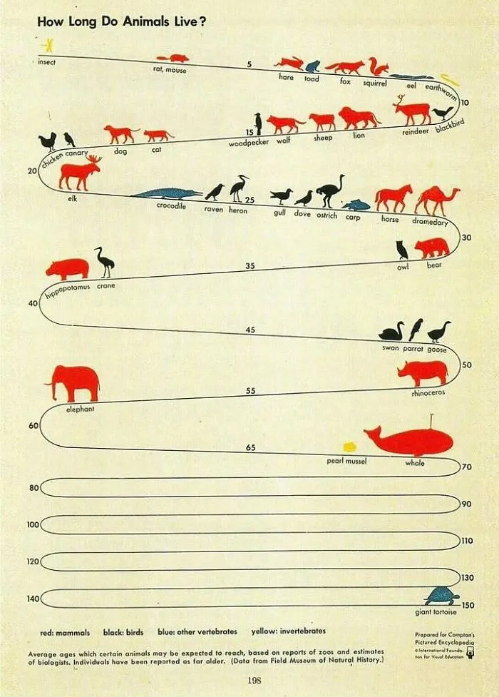 Classic Isotype Infographic From The 1940s  