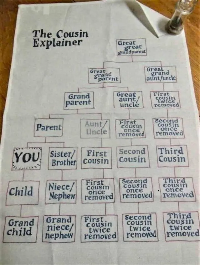 Wait, Who Is My Third Cousin Twice Removed? Oh