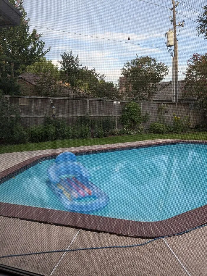 I Want To Go Swimming, But It Won't Stop Raining Long Enough. The Garden Is Growing Nicely, Though