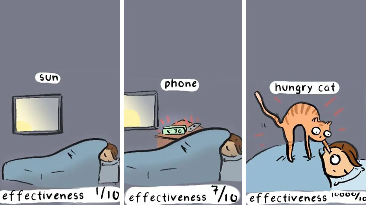 These 35 Comics Perfectly Mix Silly Humor With Brutal Honesty