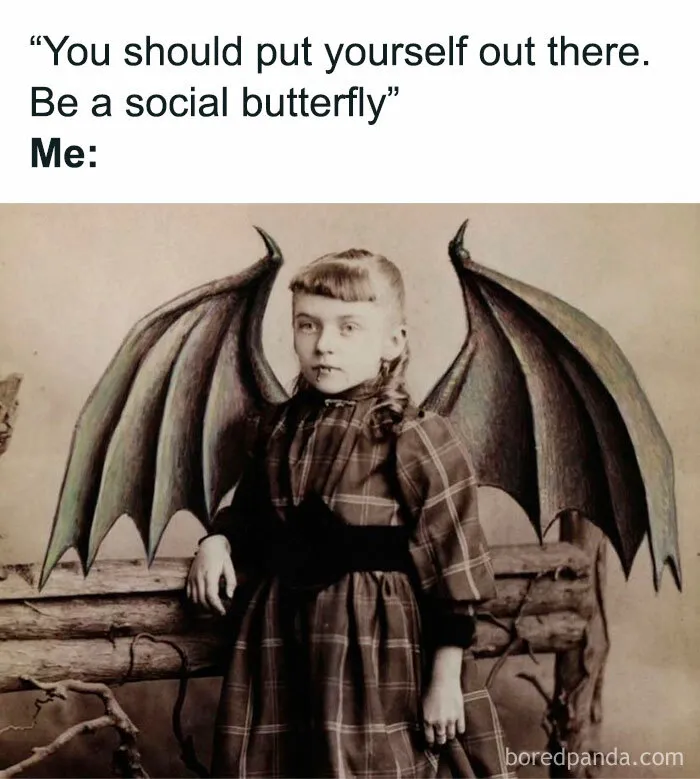 50 Random Memes That Prove Humor Is Our Only Coping Mechanism