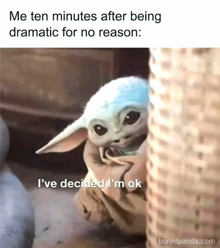 50 Random Memes That Prove Humor Is Our Only Coping Mechanism