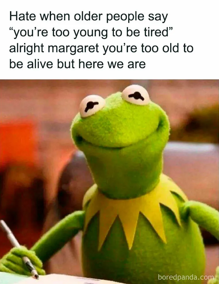 50 Random Memes That Prove Humor Is Our Only Coping Mechanism