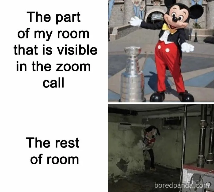 Meme showing contrasting room views in a Zoom call with a cheerful character versus a dark, hidden basement scene.