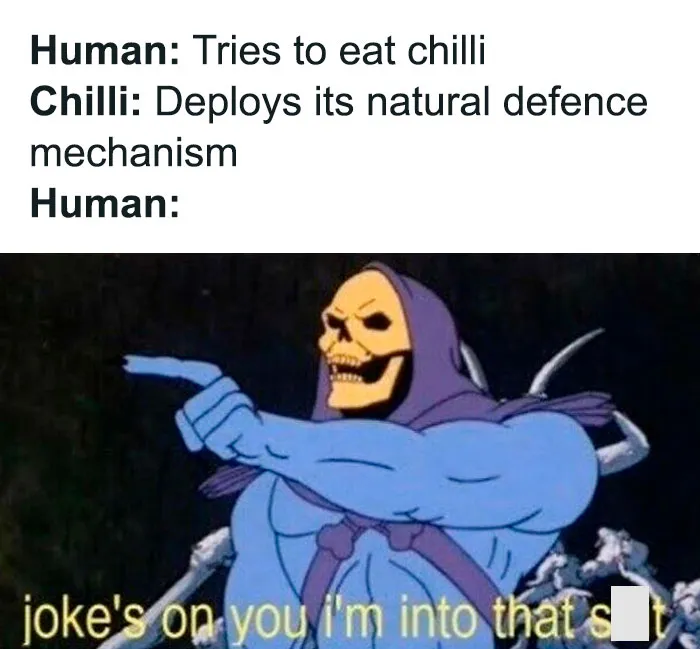 Funny and random meme of Skeletor pointing and laughing about eating chilli and its natural defense reaction.