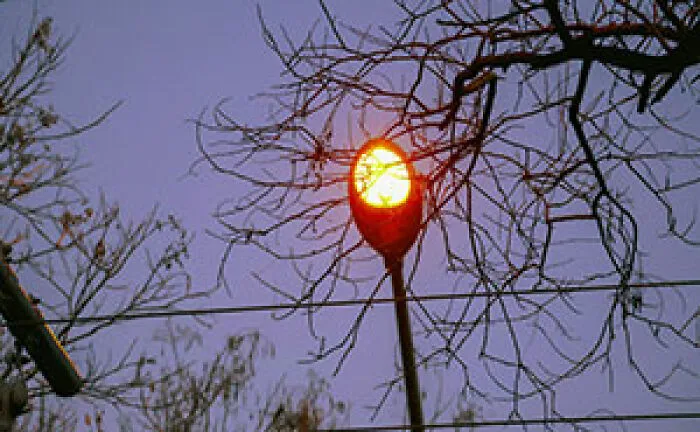 Dim streetlight glowing in a dark, leafless neighborhood setting as a sign to avoid unsafe areas.