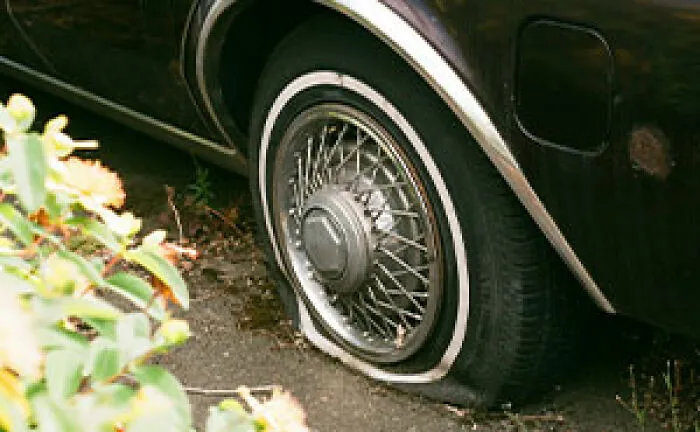 If You See These 50 Things In A Neighborhood, Folks Online Suggest You Run Immediately