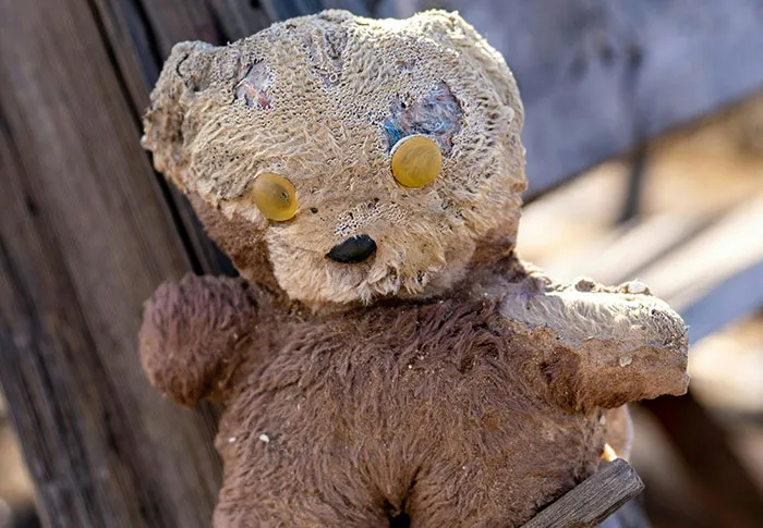 If You See These 50 Things In A Neighborhood, Folks Online Suggest You Run Immediately