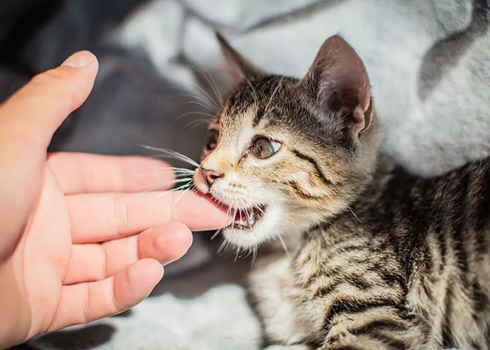 50 Extremely Dangerous Things We All Do Without Thinking