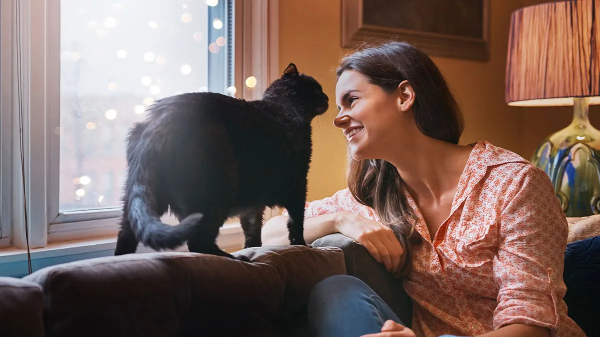 Roomies Start Feud Over Lady's Cats, Tries To Snatch Deposit, Ends Up Empty Handed After Being Sued