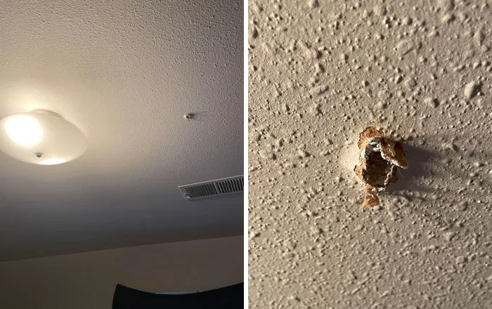 Neighbors Boyfriend Living Above Us Accidentally Discharged A Firearm Through Our Bedroom Ceiling