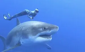“Darn Nature You Scary”: 50 Times Nature Made People Go “Nope”
