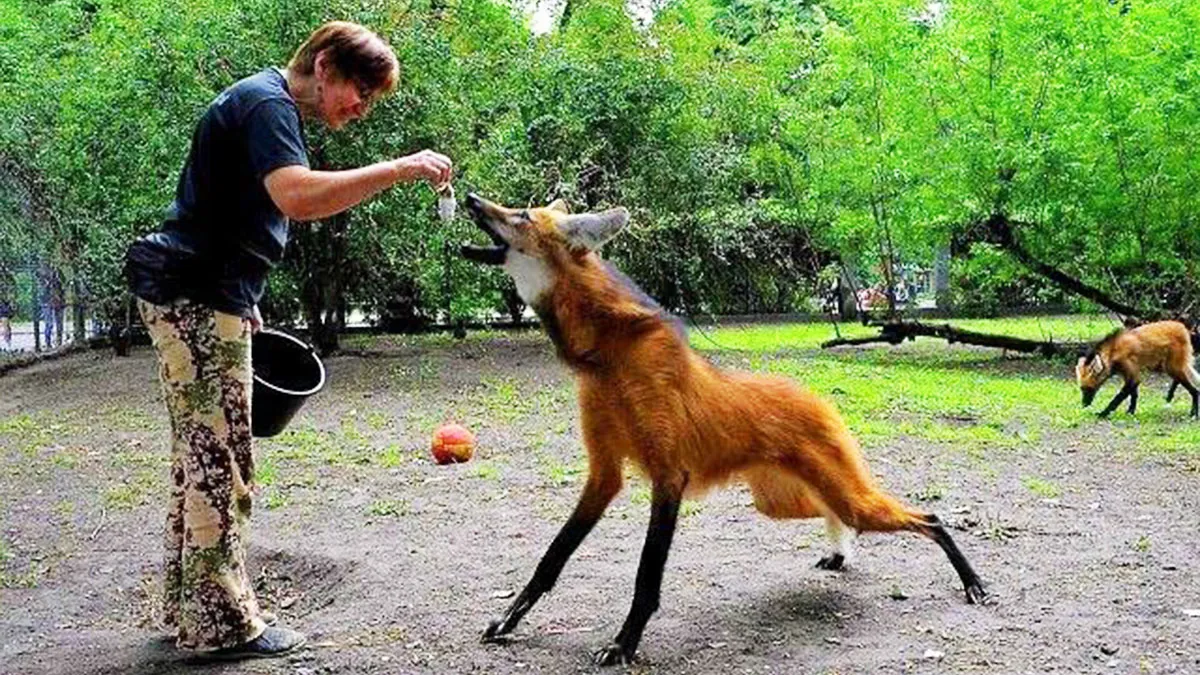 “Darn Nature You Scary”: 50 Times Nature Made People Go “Nope”