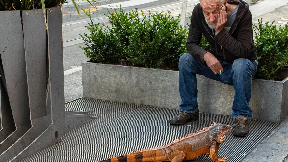 These 40 Photos Weren’t Planned Or Staged, They Just Happened And I Was There To Catch Them