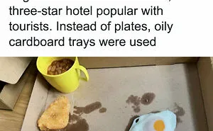 “I Wish I Was Joking”: 50 Times People Were So Stunned By Food Presentation They Had To Take A Pic (New Pics)