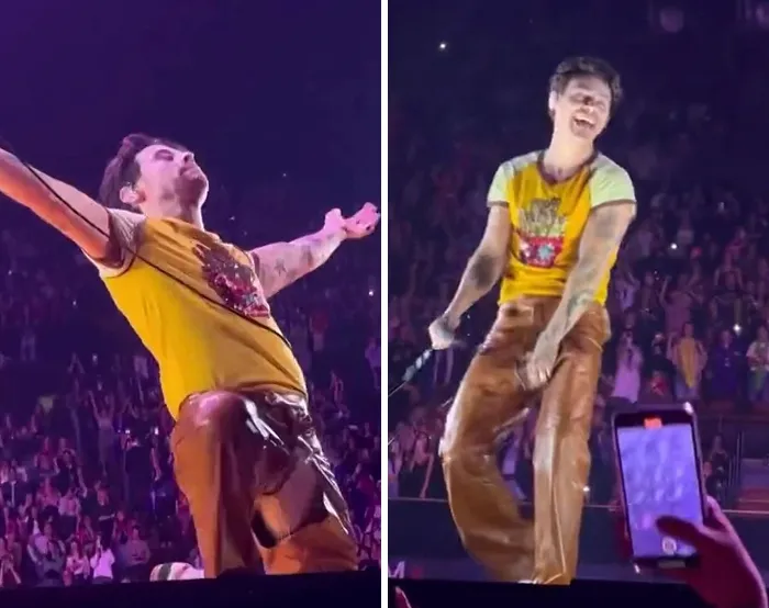 Harry Styles’ Wardrobe Malfunction On Festival Stage