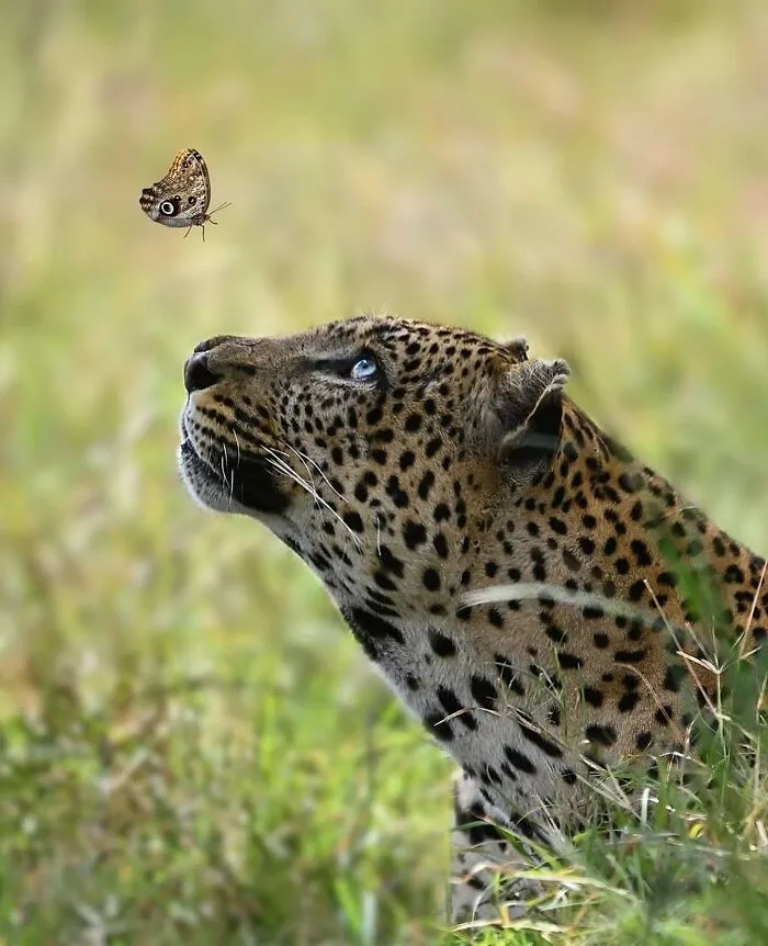 50 Times People Spotted The Cutest Animals And Just Had To Take A Pic Of Them