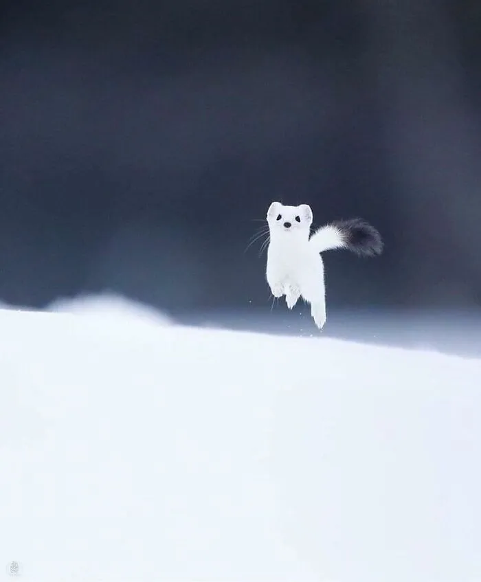 50 Times People Spotted The Cutest Animals And Just Had To Take A Pic Of Them