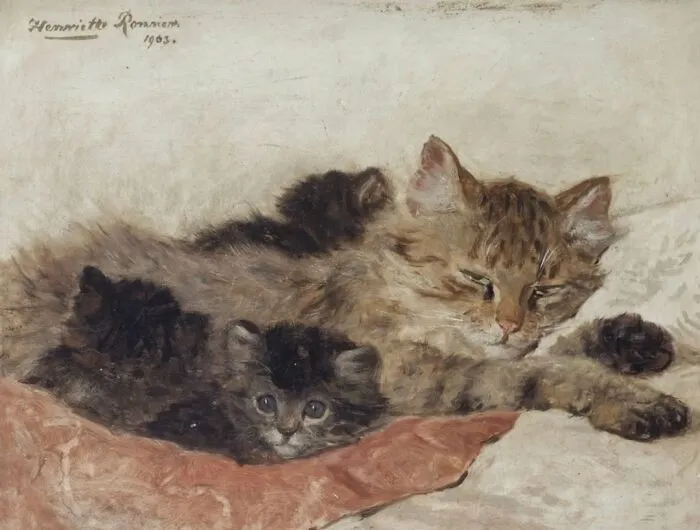 35 Adorables imágenes de gatos a través de la historia mostrando que siempre fueron los protagonistas