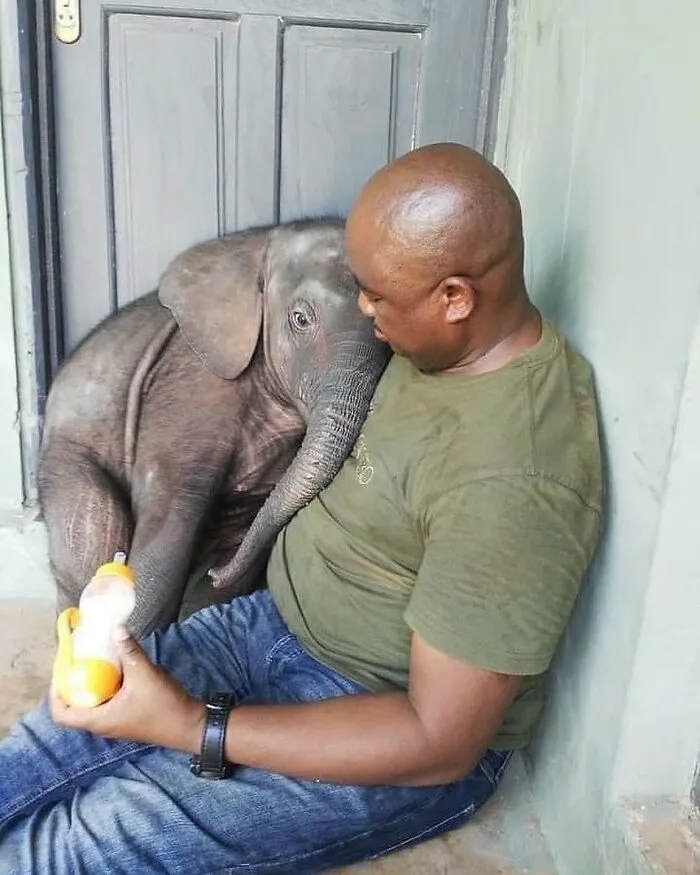 50 Times People Spotted The Cutest Animals And Just Had To Take A Pic Of Them