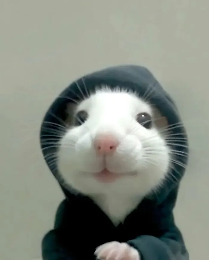 50 Times People Spotted The Cutest Animals And Just Had To Take A Pic Of Them