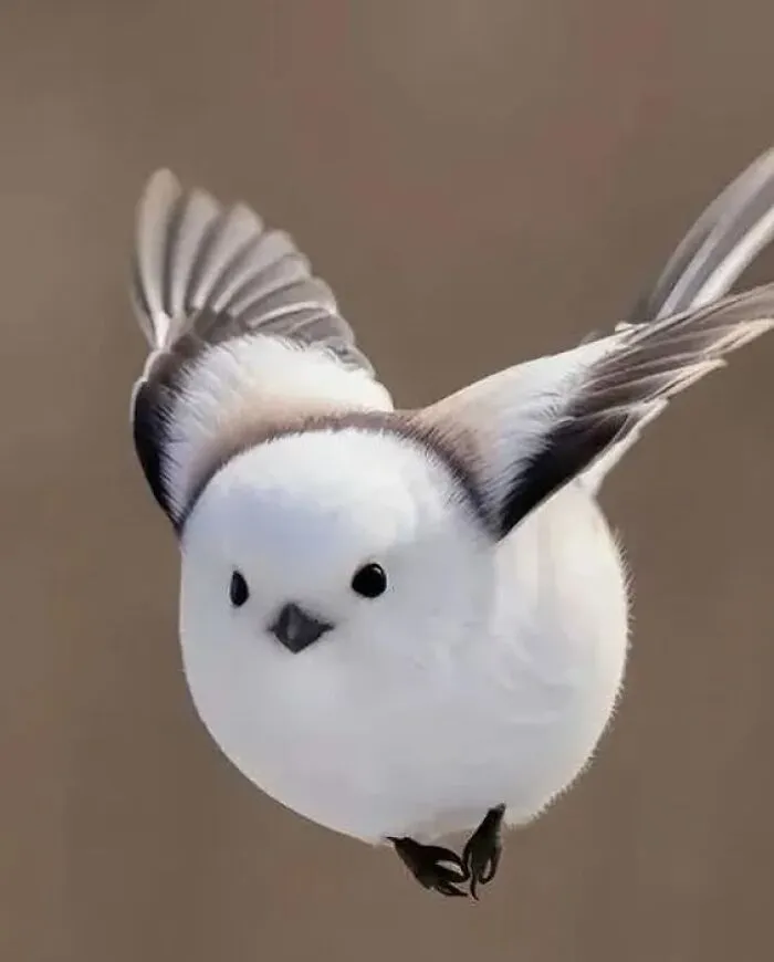 50 Times People Spotted The Cutest Animals And Just Had To Take A Pic Of Them