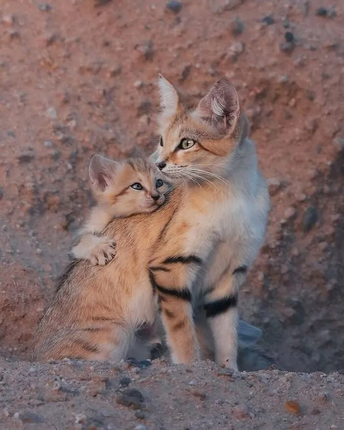 50 Times People Spotted The Cutest Animals And Just Had To Take A Pic Of Them