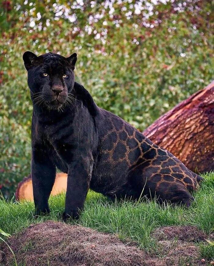 50 Times People Spotted The Cutest Animals And Just Had To Take A Pic Of Them