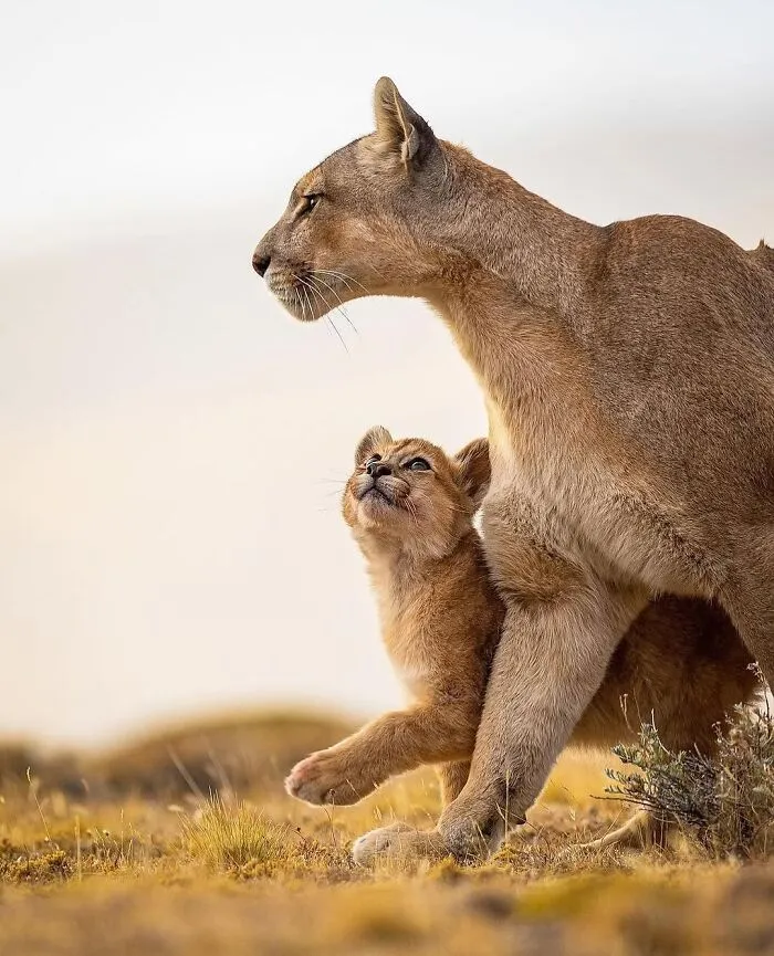 50 Times People Spotted The Cutest Animals And Just Had To Take A Pic Of Them