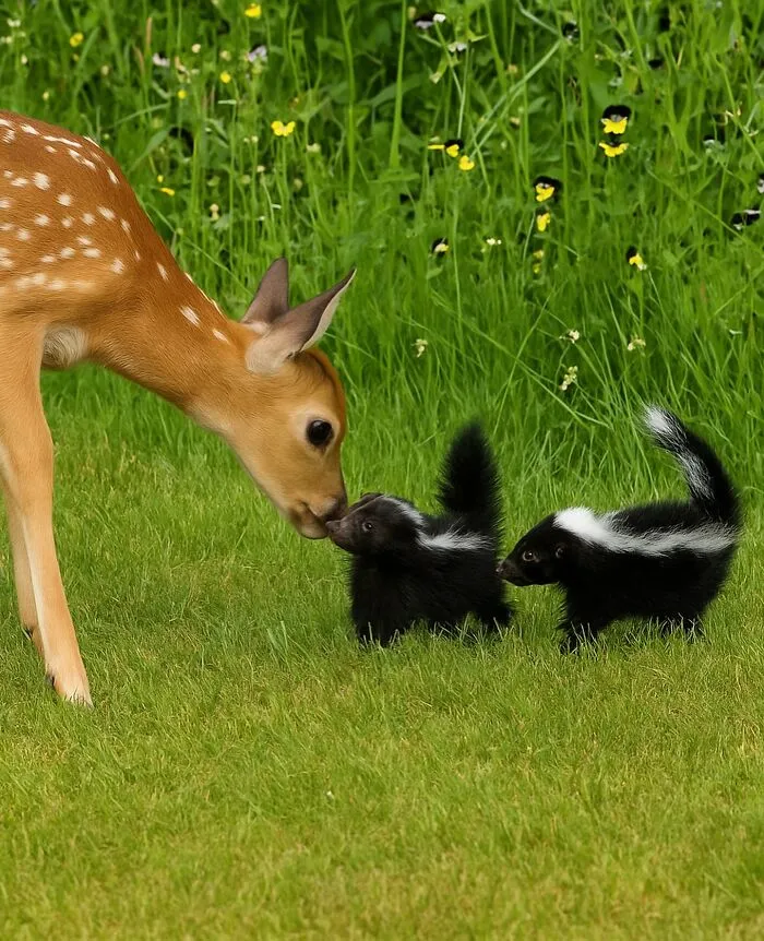 50 Times People Spotted The Cutest Animals And Just Had To Take A Pic Of Them