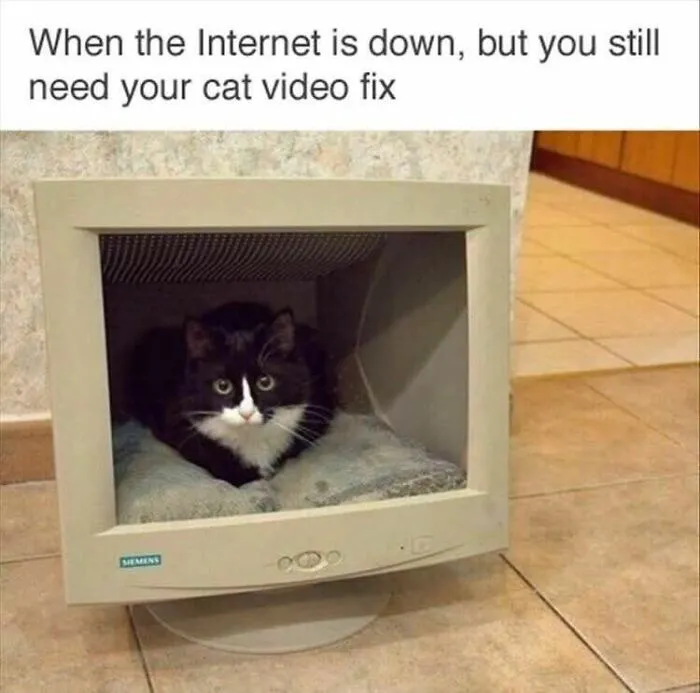 Black and white cat sitting inside an old computer monitor, illustrating funny and cute animal memes for a reason to smile.