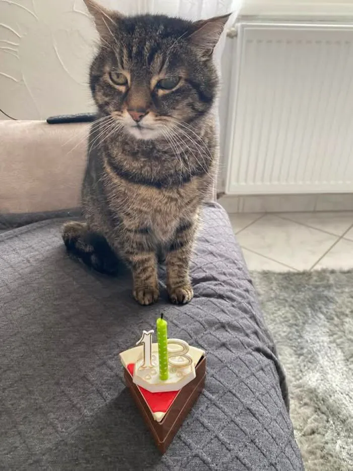 Hoy mi compañero cumple 18 años