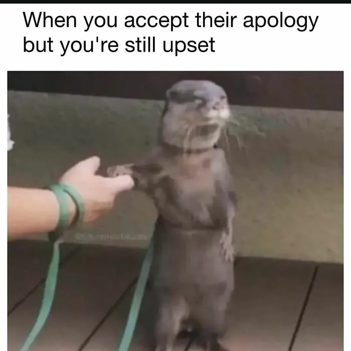 Funny and cute animal meme showing an otter holding a person's hand with a reluctant expression outdoors.