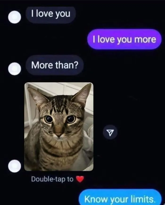 Chat conversation showing a cute cat photo with funny animal memes that might give you a reason to smile today.