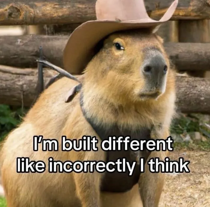 Capybara wearing a cowboy hat with a funny caption, part of funny and cute animal memes collection.