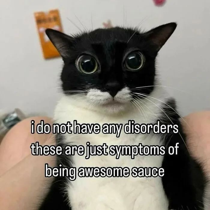Black and white cat with wide eyes and funny meme text about being awesome, cute animal memes to make you smile.