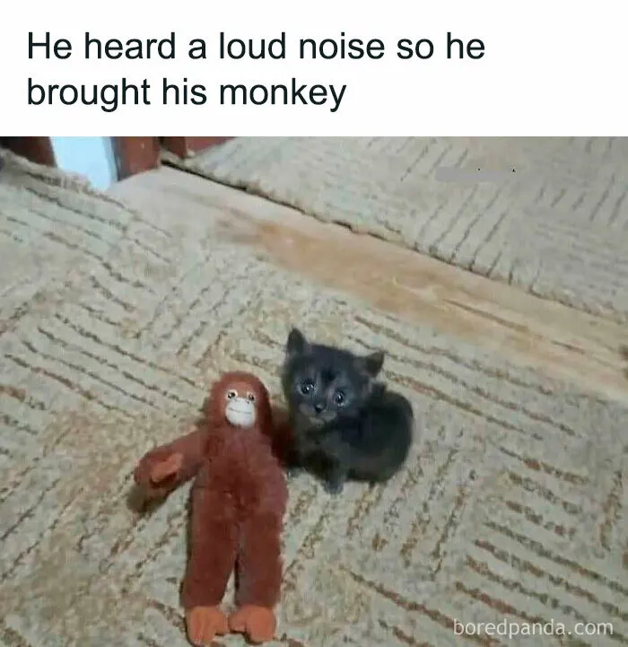 This Instagram Page Nails Antisocial Humor, Here Are 50 Of Their Best Memes