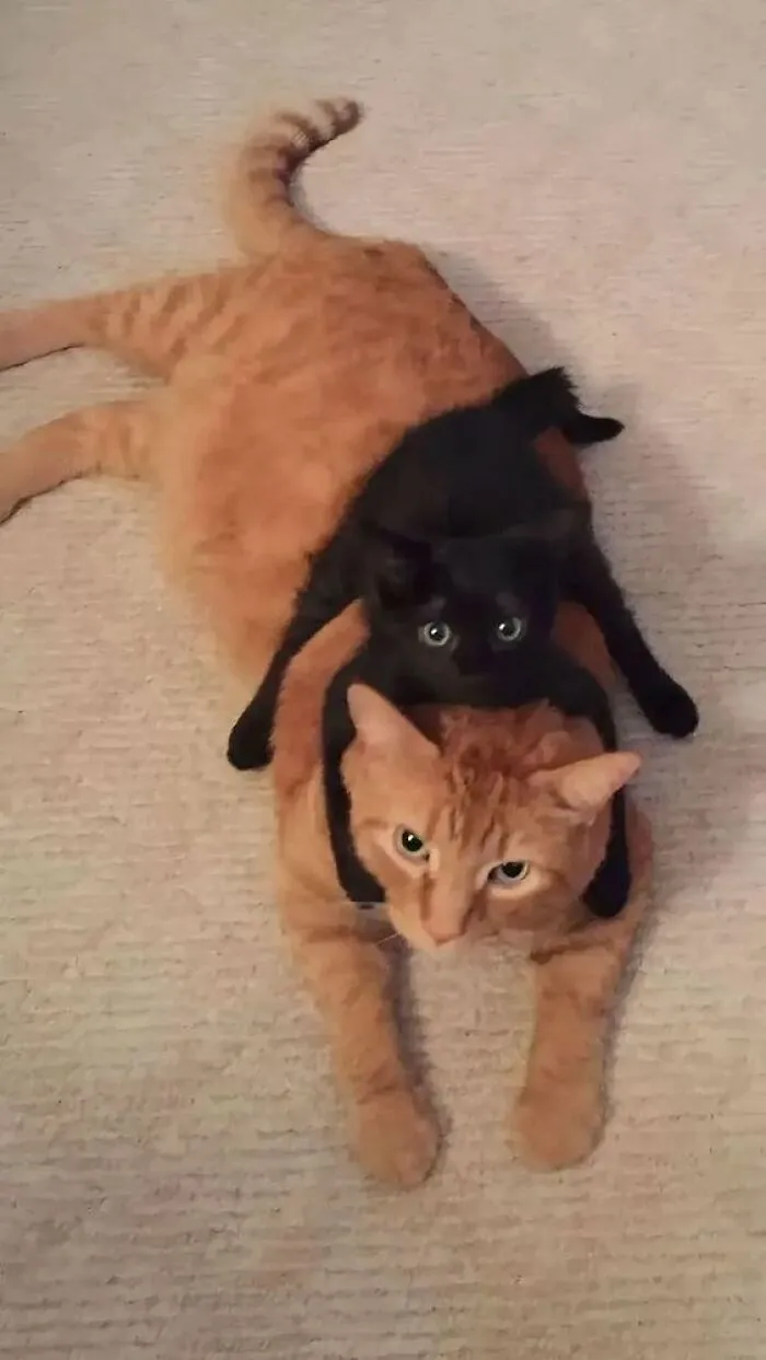 Padre e hijo