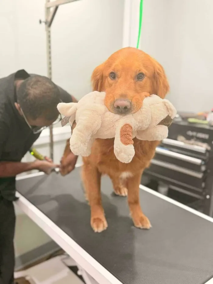 Even Good Boys Need A Baby