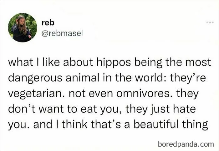 50 Posts Ranging From Hilarious To Highly Relatable